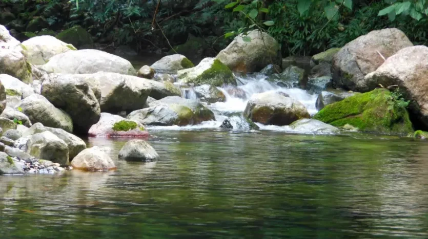 River with rocks near Corinto Pearl, La Ceiba