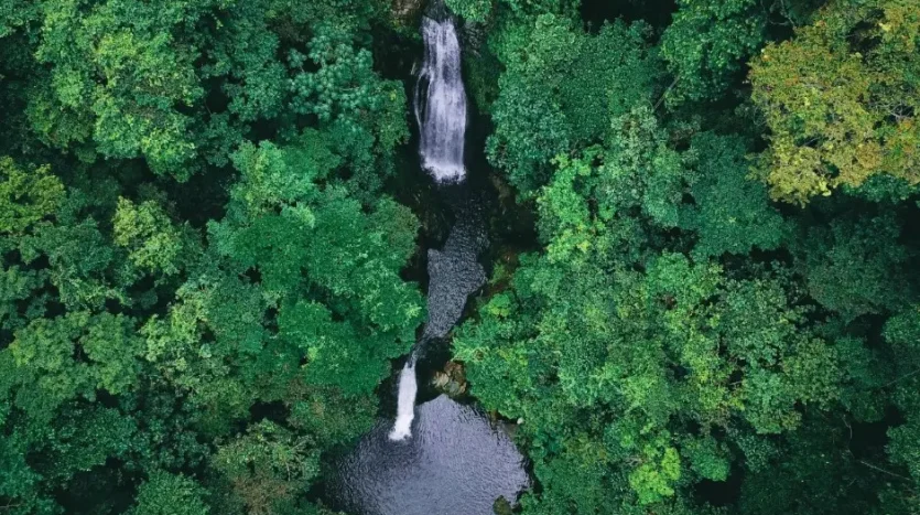 Aerial view of a waterfall in the forest near Corinto Pearl, La Ceiba
