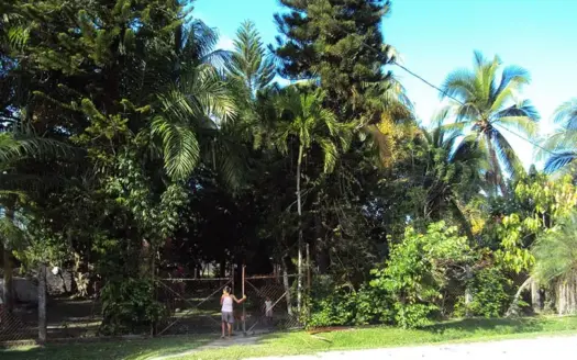 Big Corner Lot with House