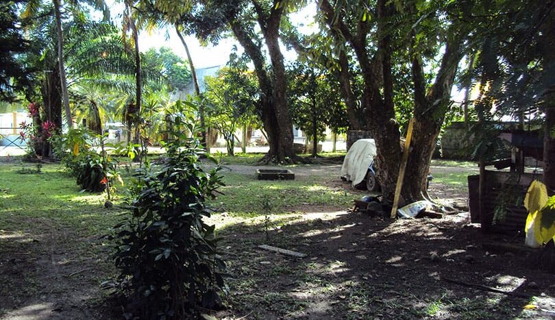 Shaded yard under large trees on the corner lot with house in Barrio Venecia, Tela