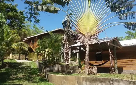 2 Bed, 1 Bath Home + Guest House