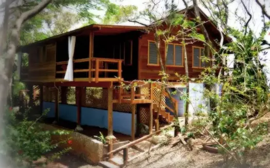 Nice House, 4 Studios in West End area