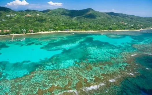 Roatan Real Estate Market keep growing