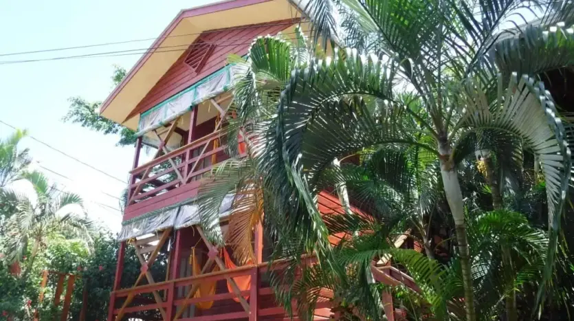 Estudio de madera Hidden Pearl entre palmeras en West End, Roatán