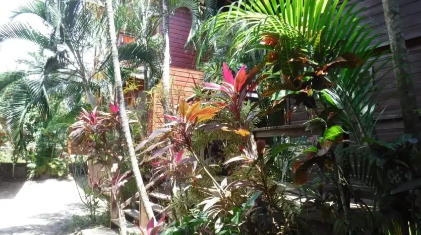 Jardín tropical del estudio Hidden Pearl en West End, Roatán