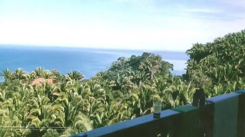 Ocean view over palm trees from Campa Vista, Trujillo