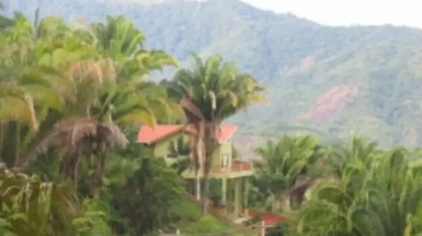 Homes among palm trees in the hills of Campa Vista, Trujillo