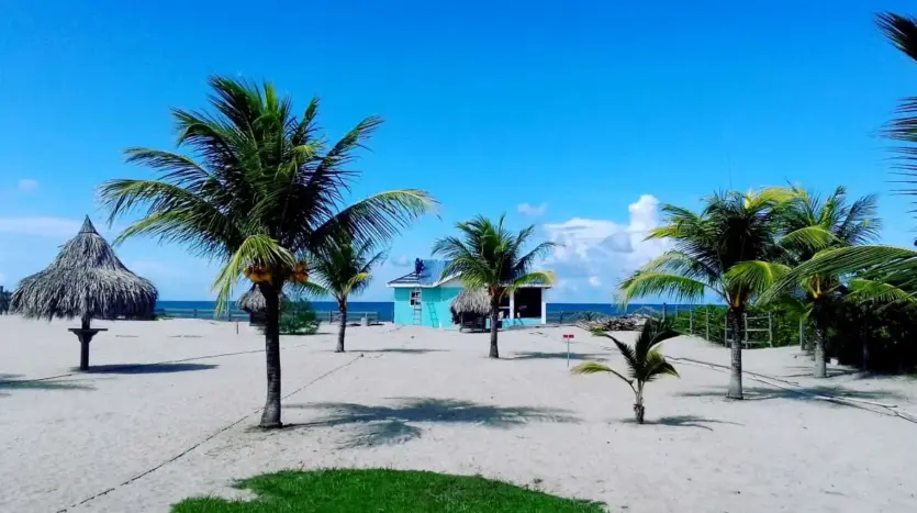 Playa de arena blanca con palmeras en Playa Vida, La Ceiba