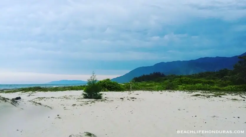 Playa de arena y montañas en Playa Vida, La Ceiba