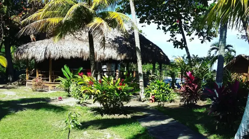 Palapa de paja y jardín tropical en Playa Vida, La Ceiba