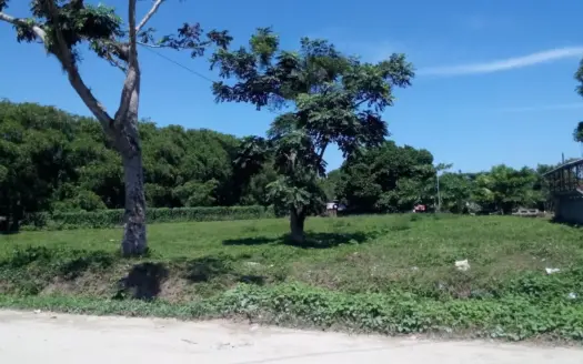 0.64 Acre Lot in Bo. Venecia