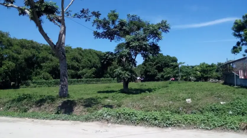 0.64 acre lot with trees in Barrio Venecia, Tela