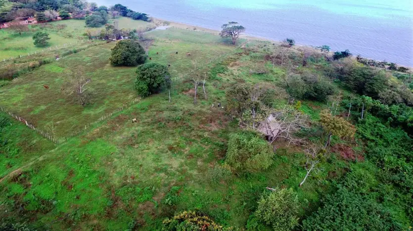 Aerial view of the 14 acre beachfront land in Trujillo