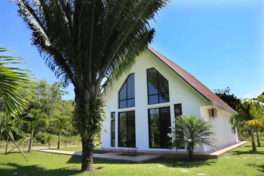 video image