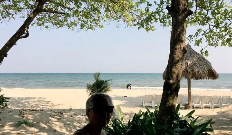 Playa bajo los árboles en Palma Real, La Ceiba