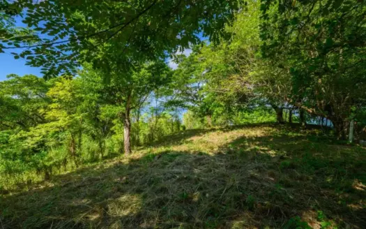 Nice Ocean View Lots in Punta Gorda