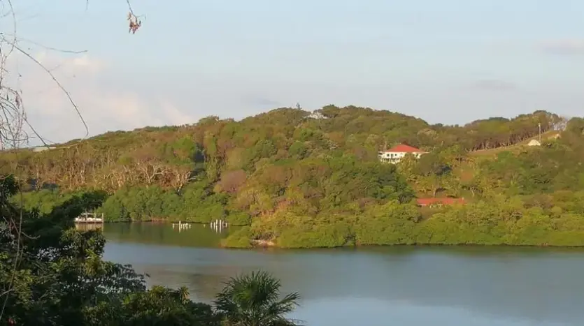 Lagoon and hills at Parrot Tree Plantation, Lot 42, Roatan