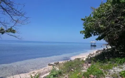 St. Helene, Lot 3, 1 acre, Beachfront, Roatan
