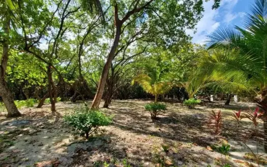0.28 Acres with beach access (Lot #10) in Camp Bay