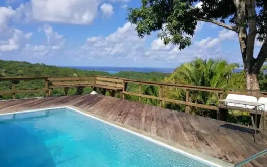 View Home with Pool+ Apartment, Roatan
