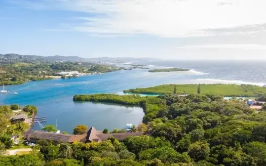 2.45 Acres Lushes Property in Brick Bay