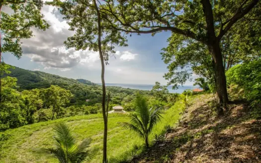 Lot 5 in White Rock Hills
