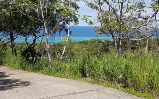 Lot 1, White Rock Hills