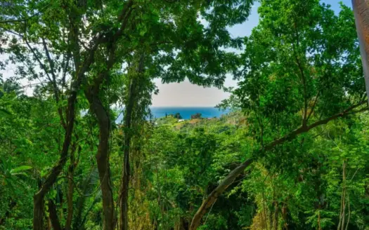Ocean View Lot Zolitur Road, Roatan