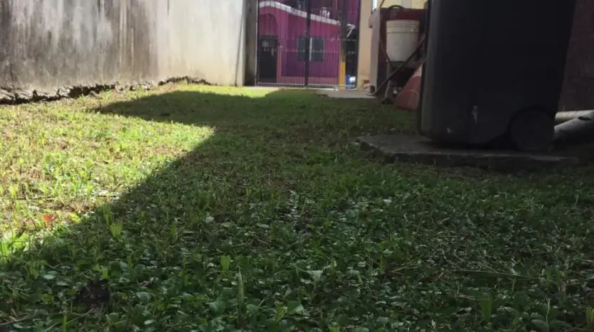 Back yard of the house in Colonia Bella Vista, Puerto Cortes