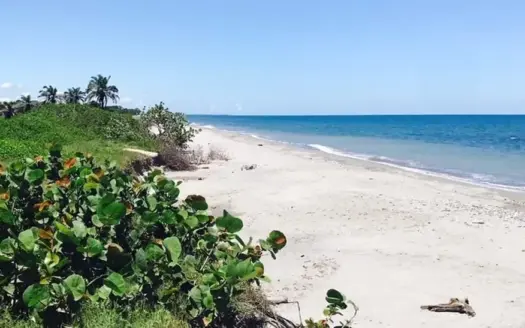 Propiedad frente a la playa al oeste de La Ceiba
