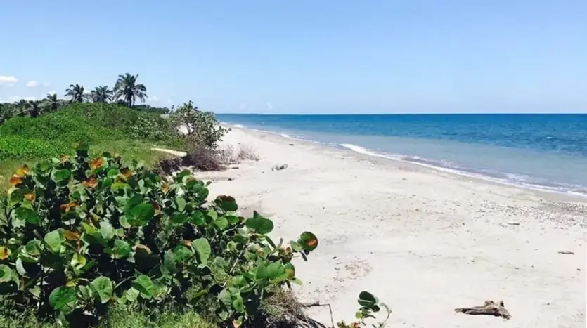 4 lotes en La Ceiba Beach Club