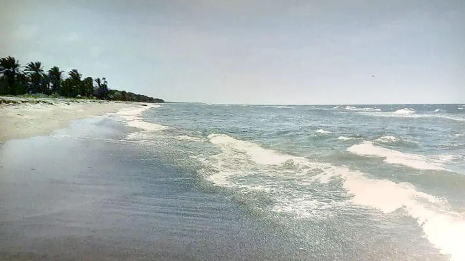 video image