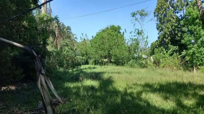 Grassy lot with trees in Piedra Pintada, La Ceiba