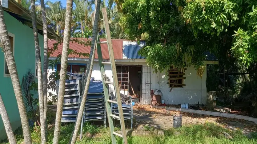 Houses and yard among palms in Piedra Pintada, La Ceiba