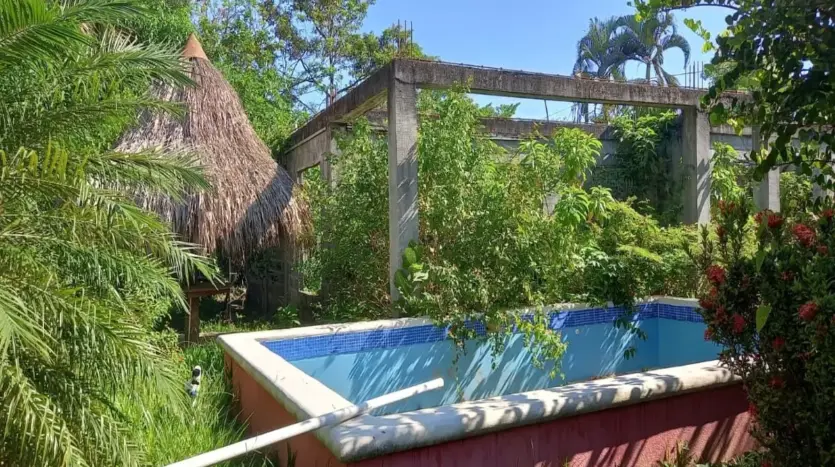 Small pool and garden on the property in Piedra Pintada, La Ceiba
