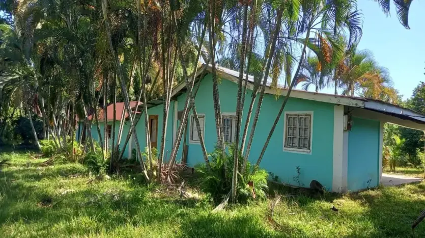 Turquoise house among palms in Piedra Pintada, La Ceiba