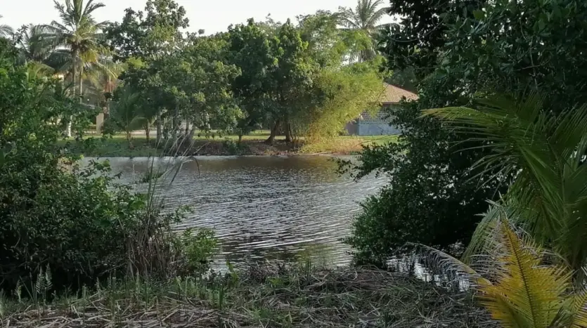 Lagoon next to the land in Tela Bay
