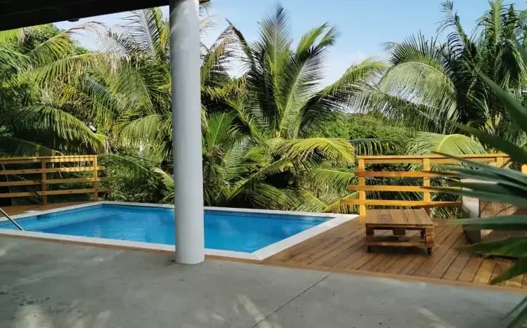 Pool and garden below the deck at Flamingo House, First Bight, Roatan