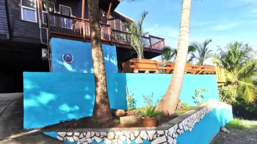 Flamingo House with turquoise wall and palm tree in First Bight, Roatan