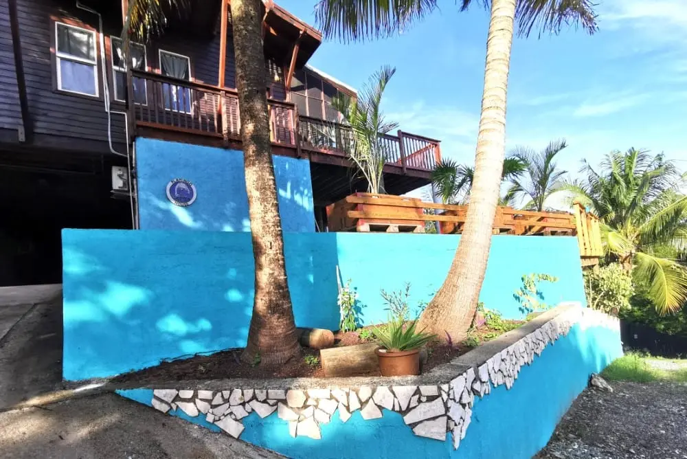 Flamingo House with turquoise wall and palm tree in First Bight, Roatan