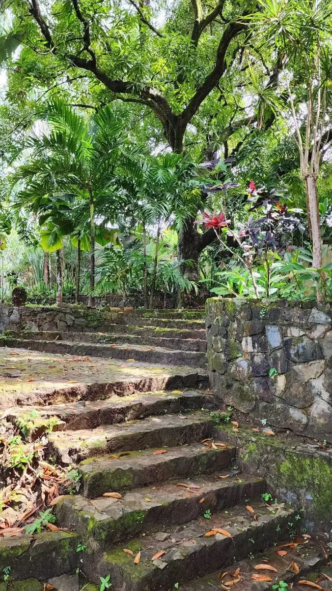 Stone steps through the garden at Villa Mangos, Trujillo