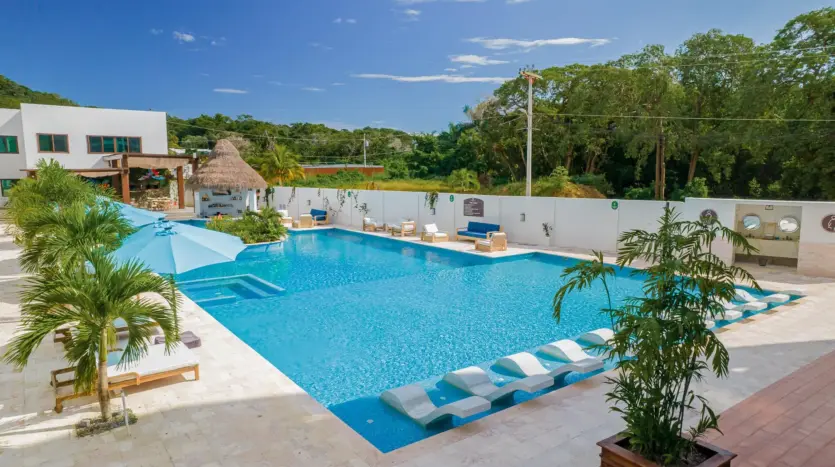 Área de piscina con palapa y plantas tropicales