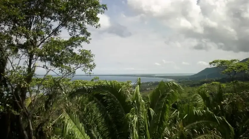 Bay view through tropical trees from Campa Vista, Trujillo