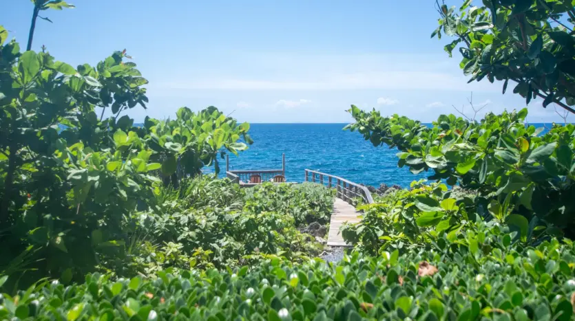 Garden path down to the sea
