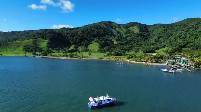 Bay with boat and hillside