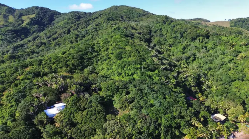 Aerial view of the green hillside