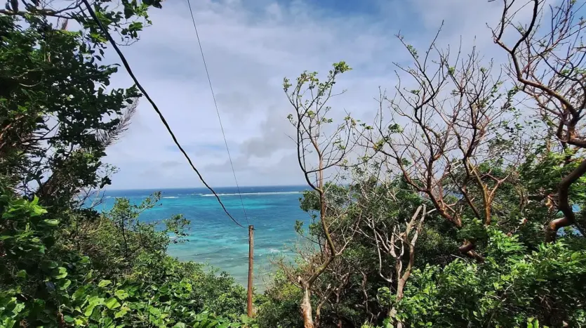 Ocean view from the hillside