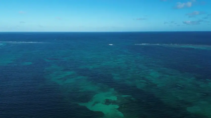 Reef and Caribbean Sea off Guanaja