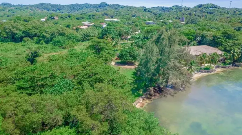 Vista hacia las colinas verdes de Roatán