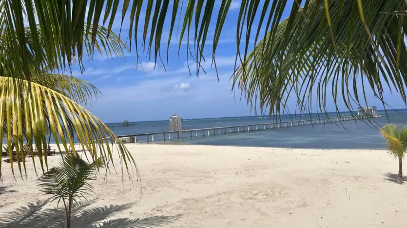 White sand beach framed by palms steps from the property